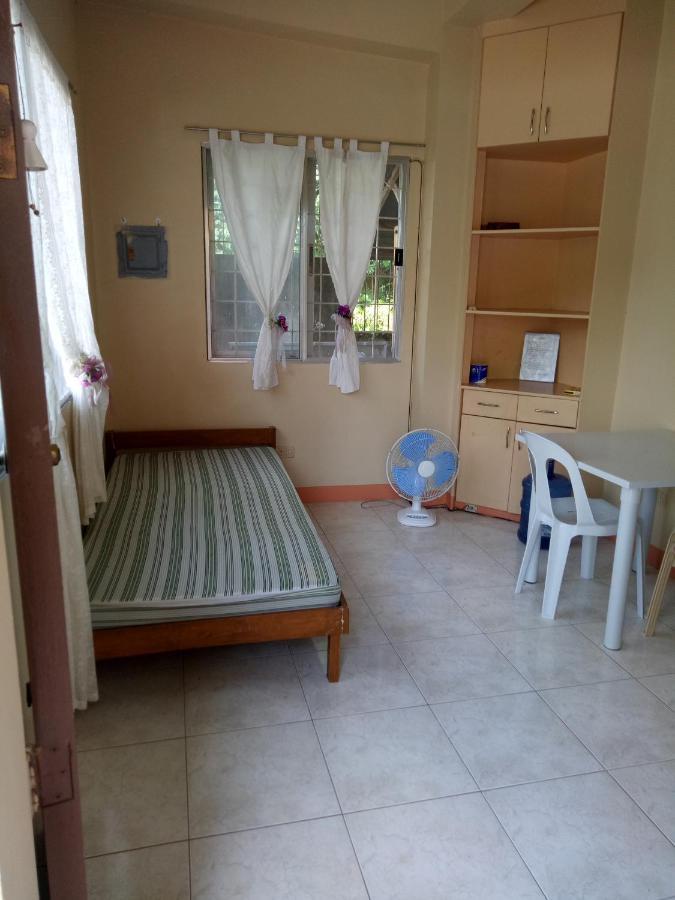 Violin Mountain Apartment Dumaguete City Luaran gambar